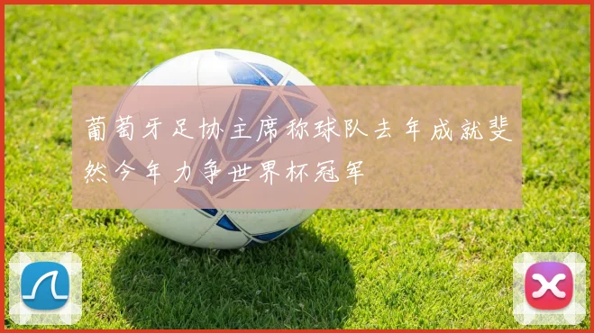 葡萄牙足协主席称球队去年成就斐然今年力争世界杯冠军
