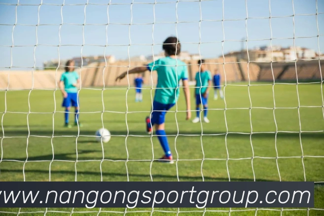 南宫体育平台生态图